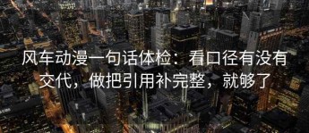 风车动漫一句话体检：看口径有没有交代，做把引用补完整，就够了