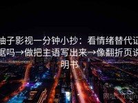 柚子影视一分钟小抄：看情绪替代证据吗→做把主语写出来→像翻折页说明书