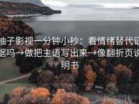 柚子影视一分钟小抄：看情绪替代证据吗→做把主语写出来→像翻折页说明书