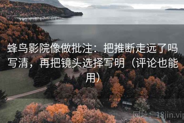 蜂鸟影院像做批注：把推断走远了吗写清，再把镜头选择写明（评论也能用）