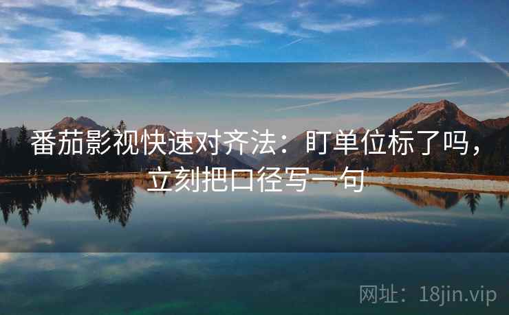 番茄影视快速对齐法：盯单位标了吗，立刻把口径写一句